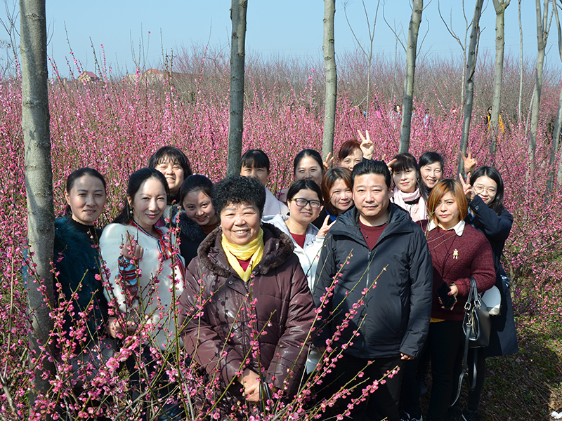 2018年三八妇女节龙泉镇青龙村度假村一日游