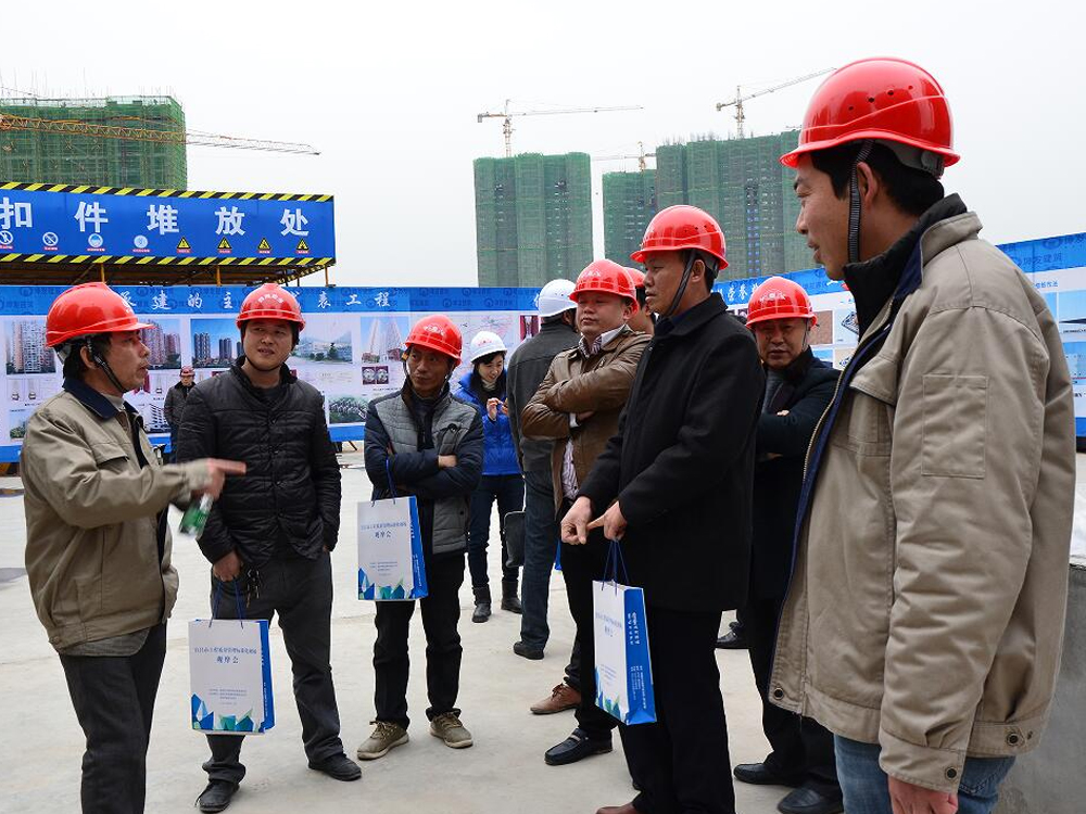 观摩坤发建筑东辰心语项目