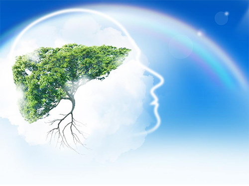 人生，没了健康，就没了一切。ㄉ疃群梦模