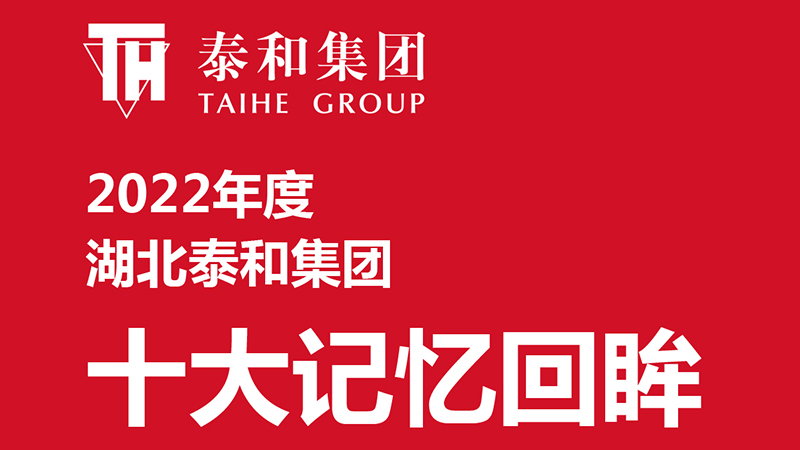 2022年湖北中国尊龙官方网站集团十大记忆回眸
