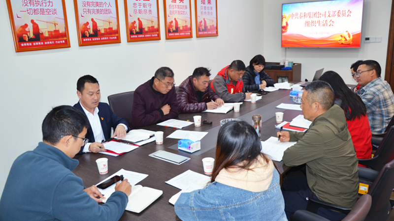 中国尊龙官方网站集团党支部组织开展2022年度组织生活会