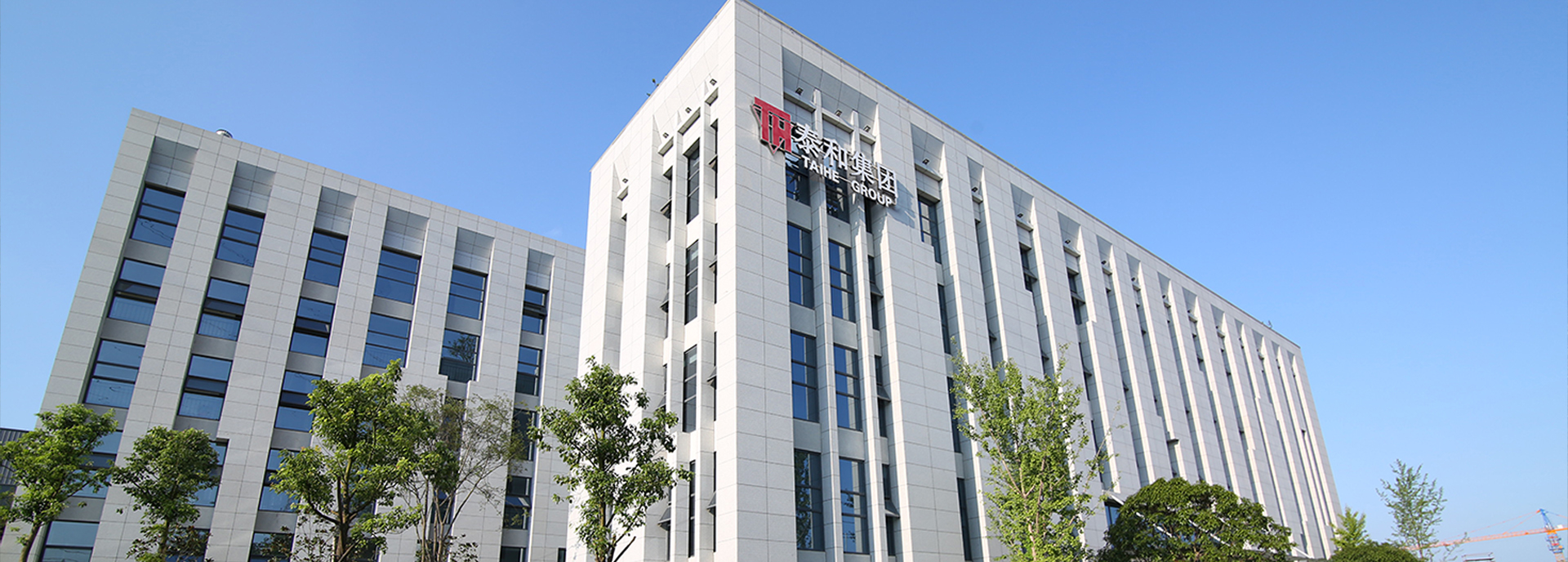 中国尊龙官方网站集团